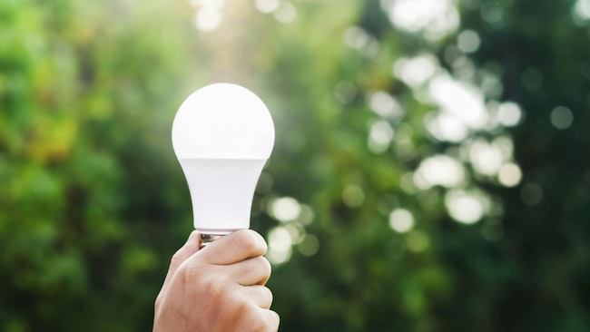 hand holding led bulb on green nature background