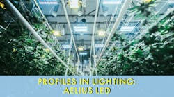 Original Aelius REDD horticultural LED fixtures in Decibel Cannabis Company’s checkerboard room alongside HPS.