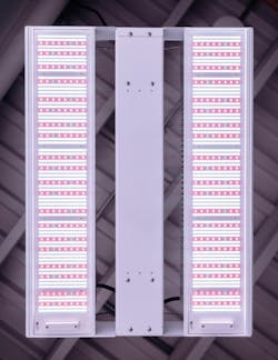 The Aelius REDD 3.0 series delivers 3.10–3.15 µmol/J efficacy, with a mix of blue and far-red spectra to enhance growing in high-ceiling cannabis flowering and supplemental lighting applications.